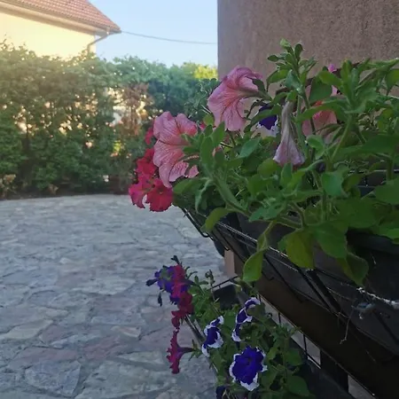 House Leyla Vendégház *