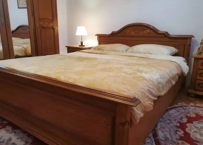 招待所 House Leyla